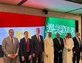بعد عودته من الرياض .. وزير الكهرباء : مشروع الربط يلقى كل الدعم من الجانب السعودى